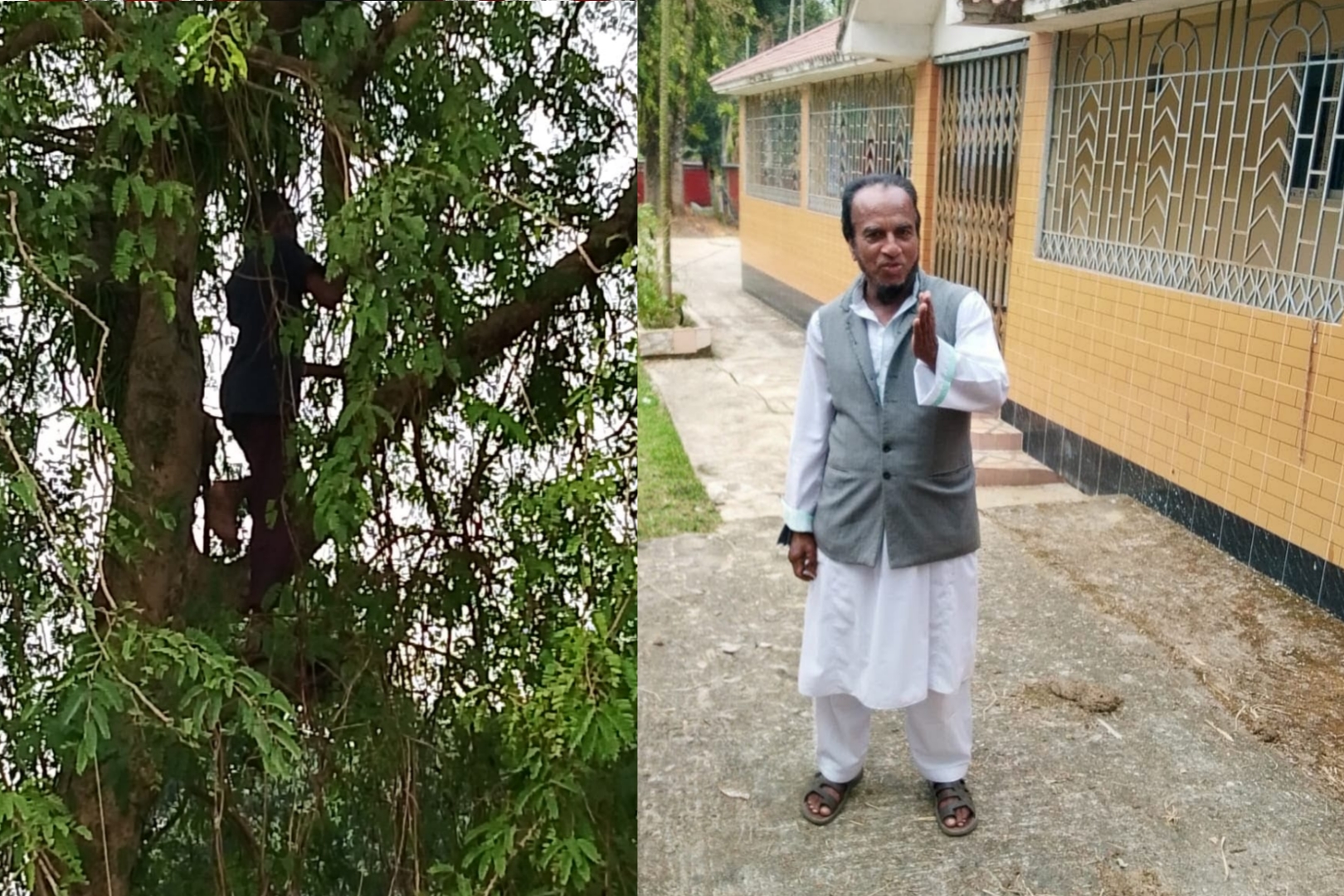 মৌলভীবাজারে শিক্ষার্থীদের দিয়ে গাছ থেকে ফল পাড়ানোর দৃশ্য ধারণে সাংবাদিকের ওপর হামলার চেষ্টা