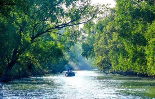 আজ থেকে তিন মাস সুন্দরবনে প্রবেশ নিষিদ্ধ